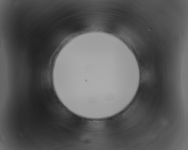 X0000096980836200802080857