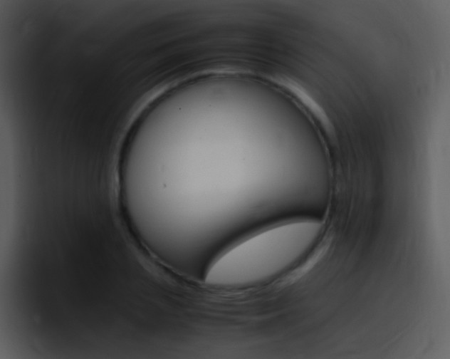 X0000096980837200802080858