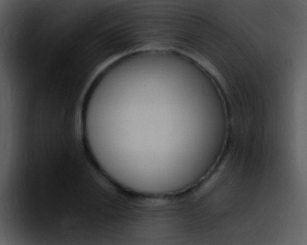 X0000096980838200802080858