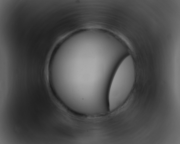 X0000096980840200802080858