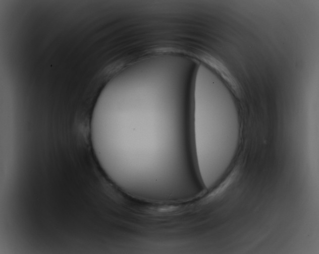 X0000096980841200802080858