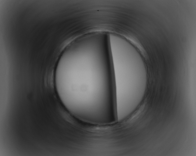 X0000096980842200802080858