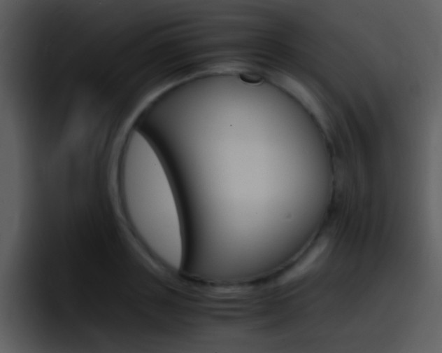 X0000096980843200802080858