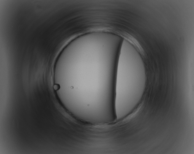 X0000096980844200802080858