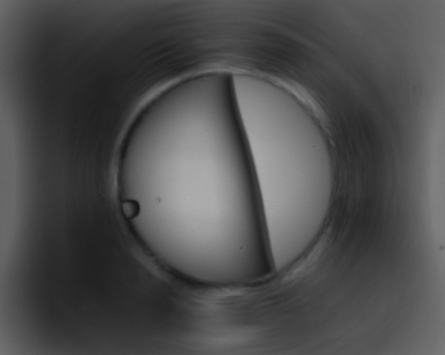 X0000096980846200802080858