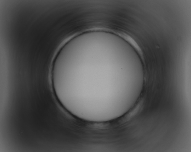 X0000096980847200802080858