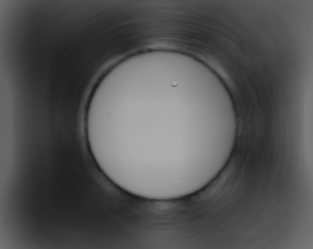 X0000096980848200802080858