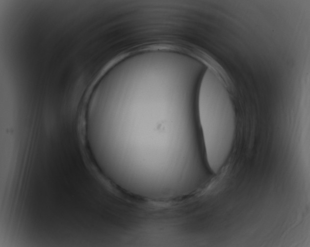 X0000096980852200802080858