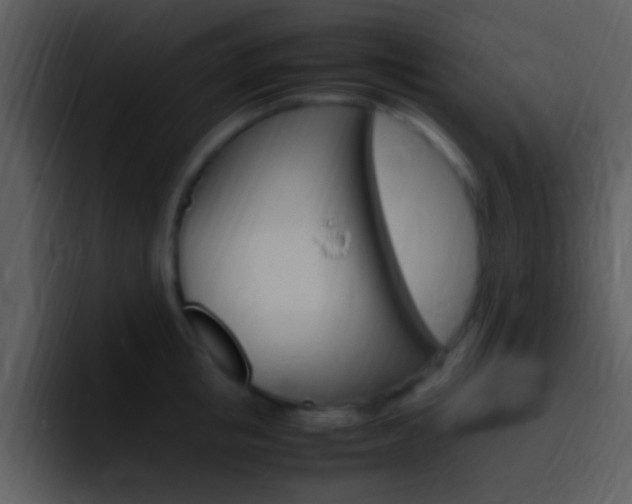 X0000096980853200802080858