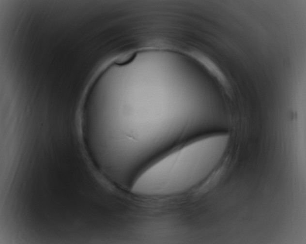 X0000096980854200802080858