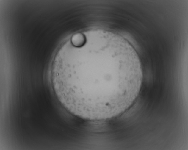 X0000096980856200802080858