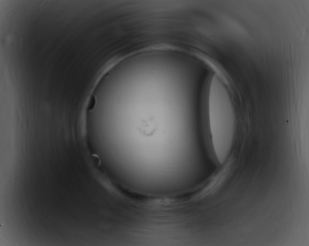 X0000096980858200802080858