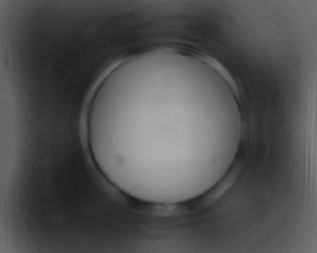 X0000096980859200802080858
