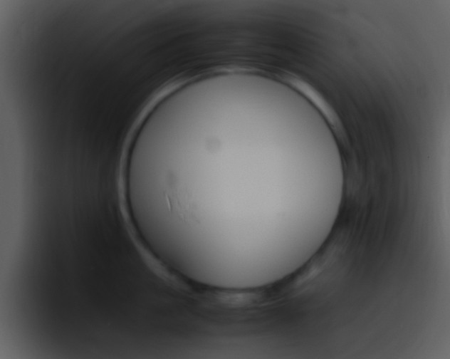 X0000096980861200802080858