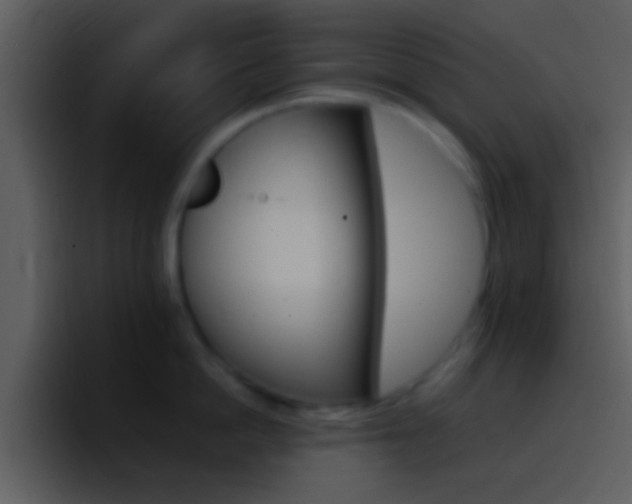 X0000096980862200802080858