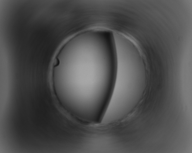 X0000096980864200802080858