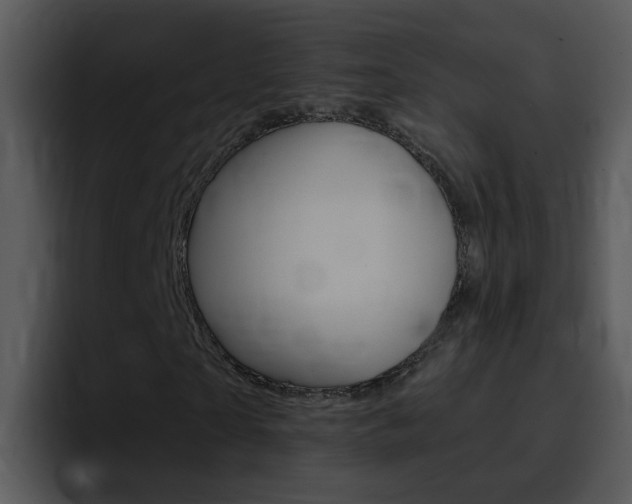 X0000096980865200802080857