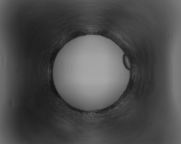 X0000096980866200802080857