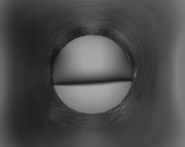 X0000096980867200802080857