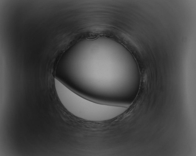 X0000096980868200802080857