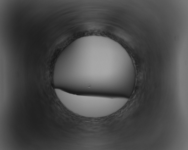 X0000096980869200802080857