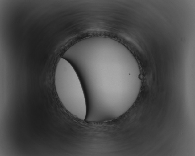 X0000096980870200802080857
