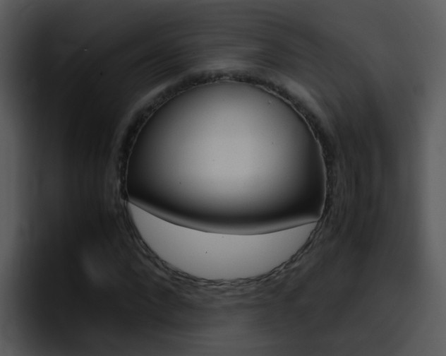 X0000096980872200802080857