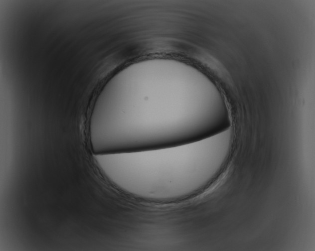 X0000096980873200802080857