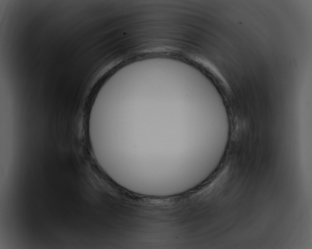 X0000096980874200802080857
