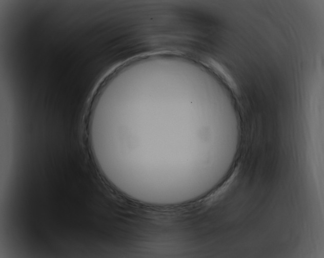 X0000096980875200802080857