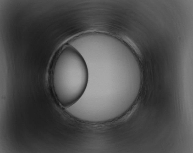 X0000096980876200802080857