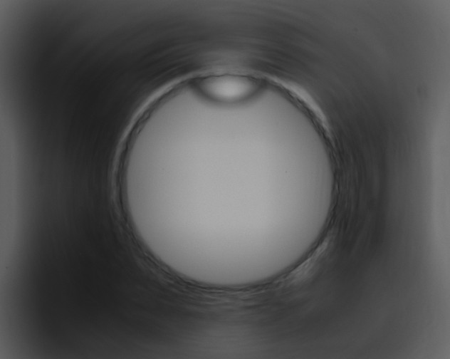X0000096980879200802080857