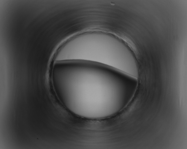X0000096980880200802080857