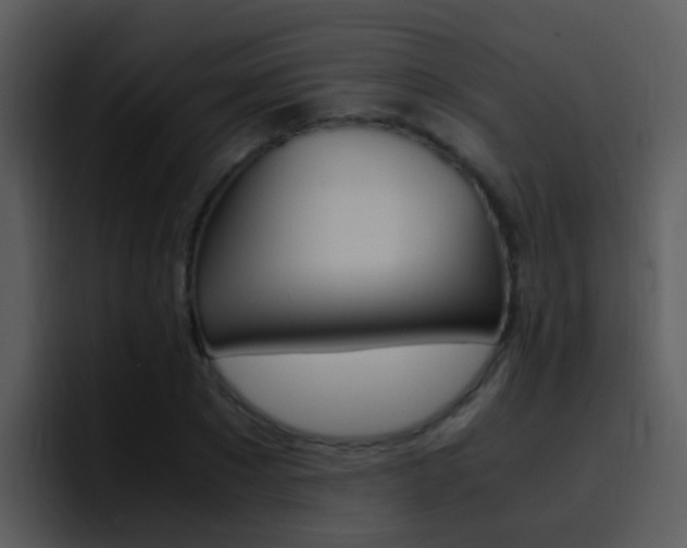 X0000096980881200802080857