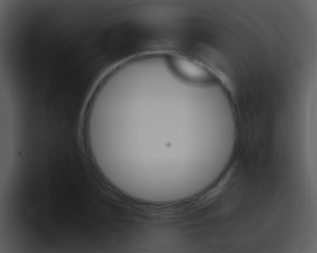 X0000096980883200802080857