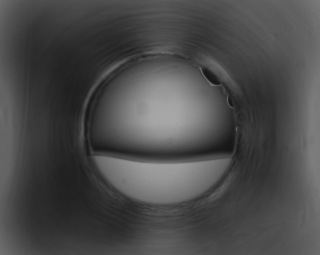 X0000096980884200802080857