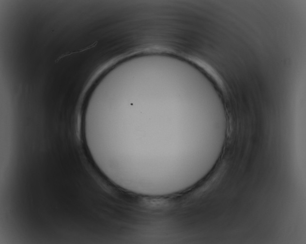 X0000096980886200802080857
