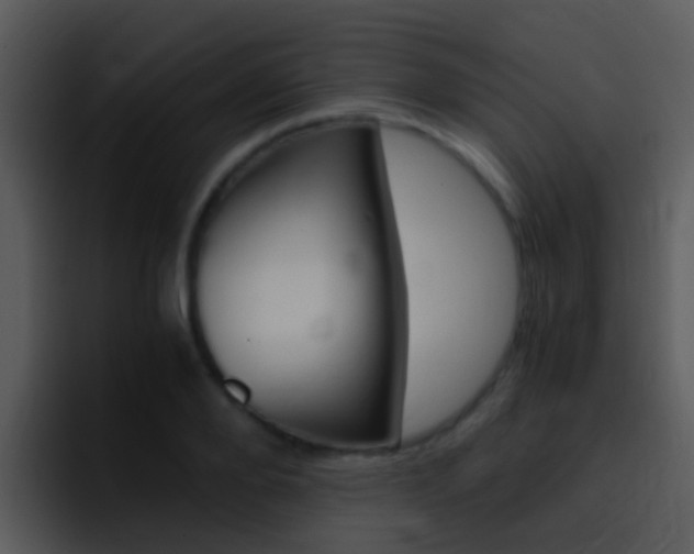 X0000096980888200802080857