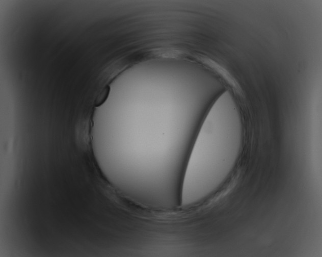 X0000096980889200802080857
