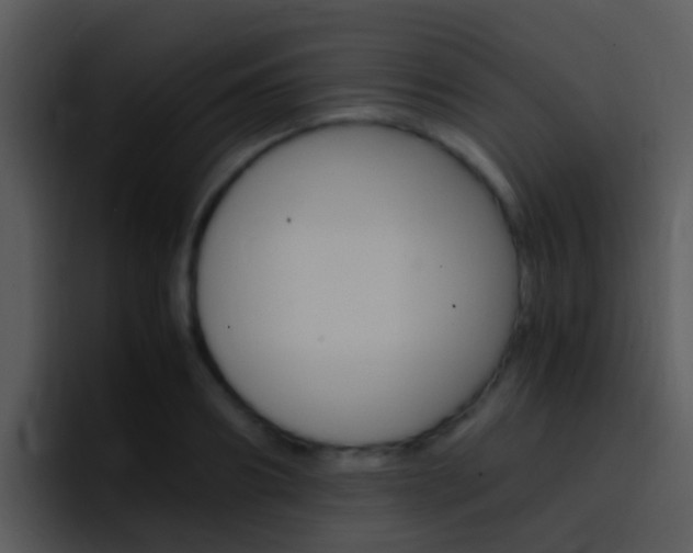 X0000096980890200802080857