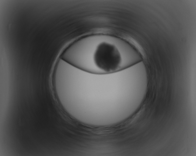 X0000096980891200802080857