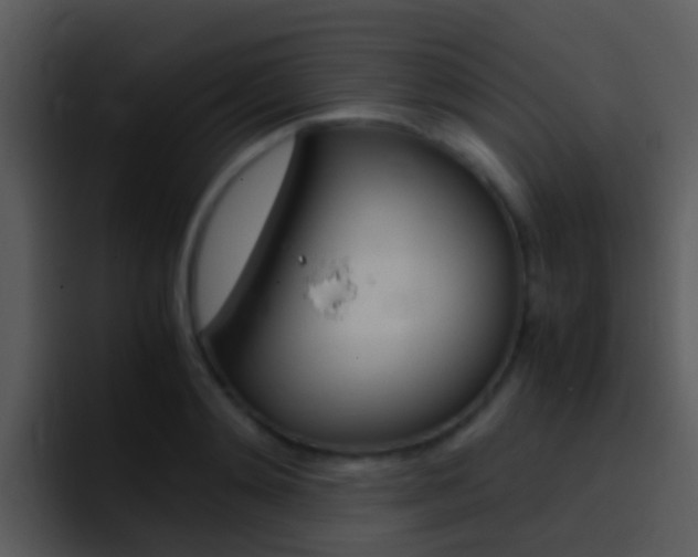 X0000096980892200802080857