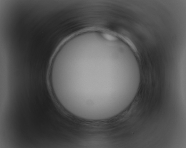 X0000096980895200802080857