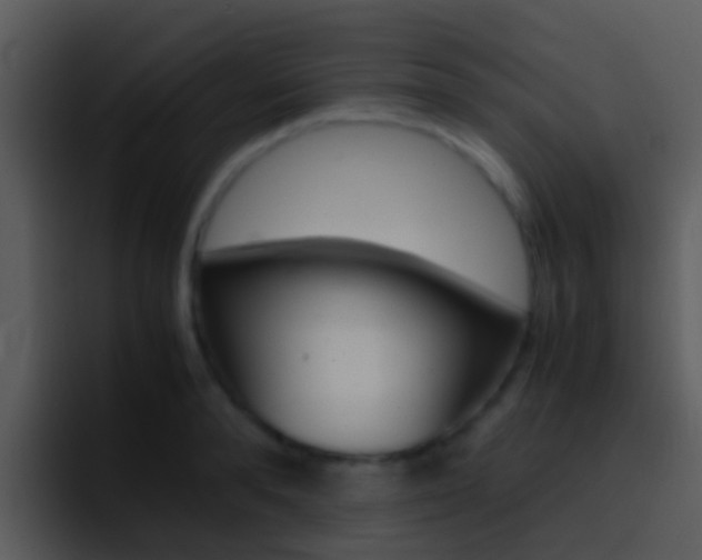 X0000096980896200802080857