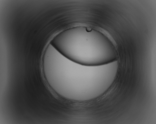 X0000096980898200802080857