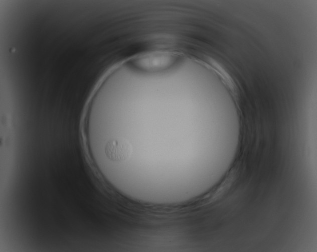 X0000096980899200802080857
