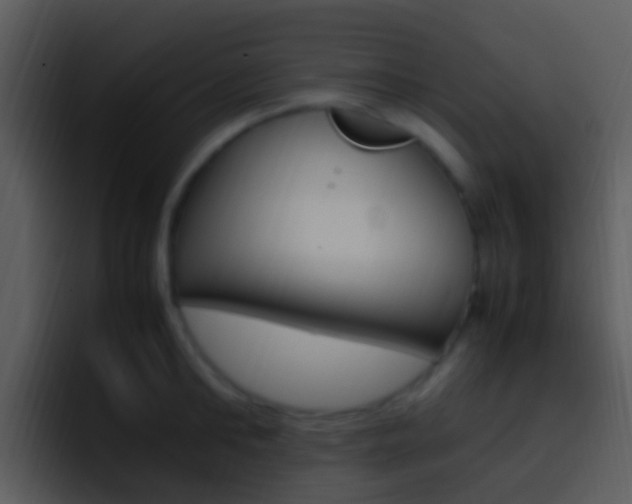 X0000096980902200802080857