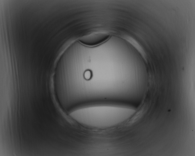 X0000096980906200802080857