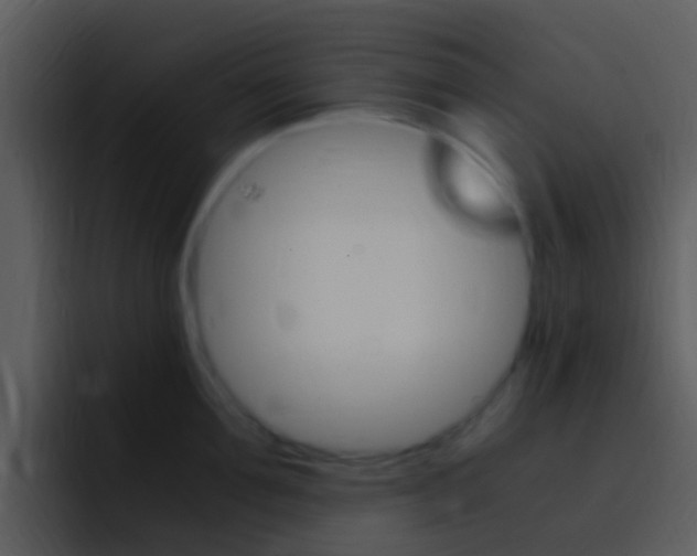 X0000096980907200802080857