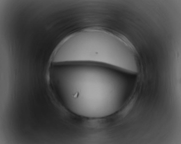 X0000096980908200802080857